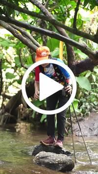 BIB:  <button type="button" onclick="openModal(27825585)" class="btn btn-primary btn-sm float-right" data-toggle="modal" data-target=".modal-high-quality">
                <i class="fa fa-download"></i> Download
                </button>